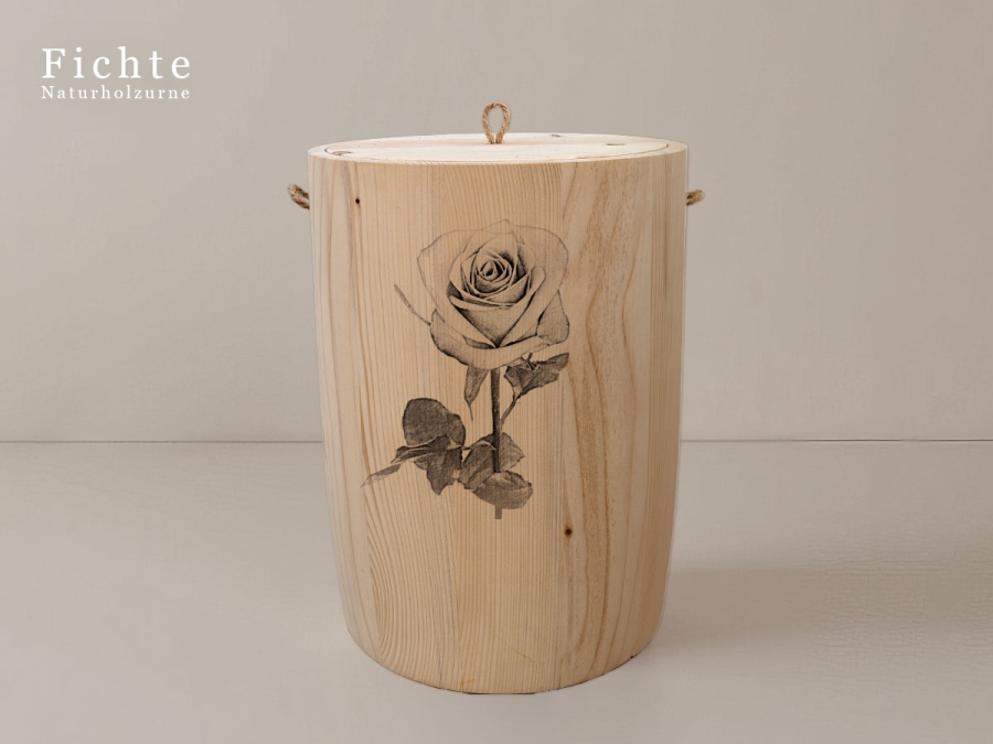 Rose 1